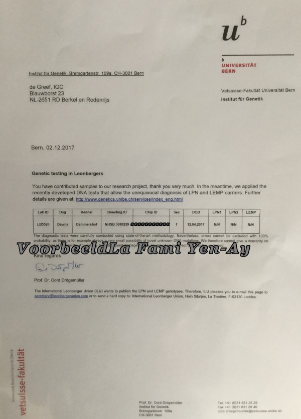 Afbeelding invoegen